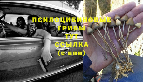 герыч Кинешма
