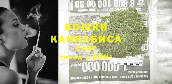 сатива Киреевск